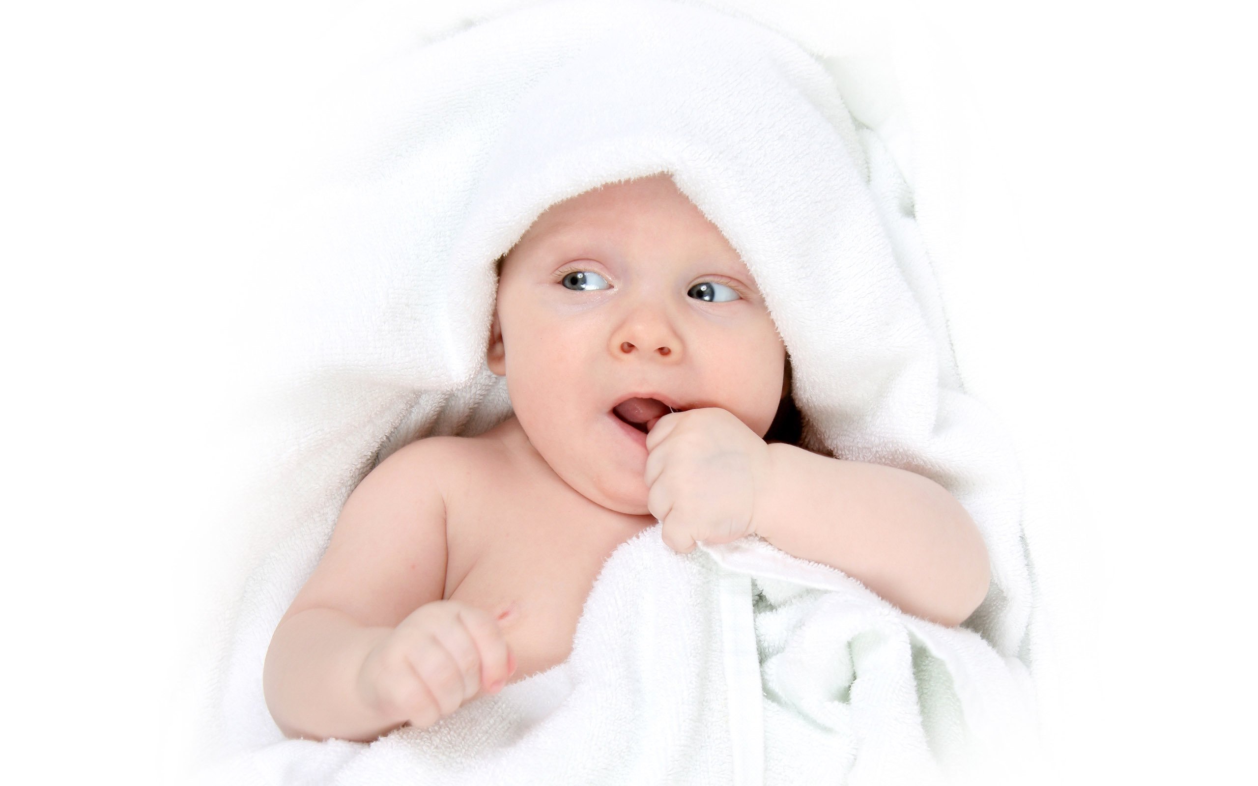 揭阳代怀生子助孕机构囊胚的成功率